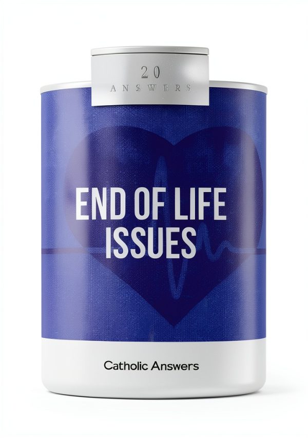 Catholic Answers 20 Answers Series Kindle eBook Parenting Short Read-0